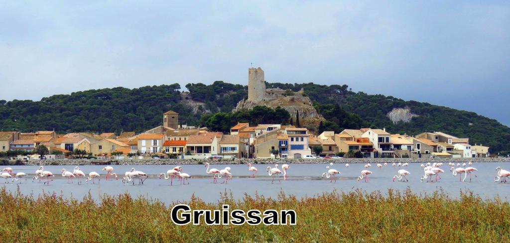 西加拉酒店 Villeneuve-lès-Béziers 外观 照片